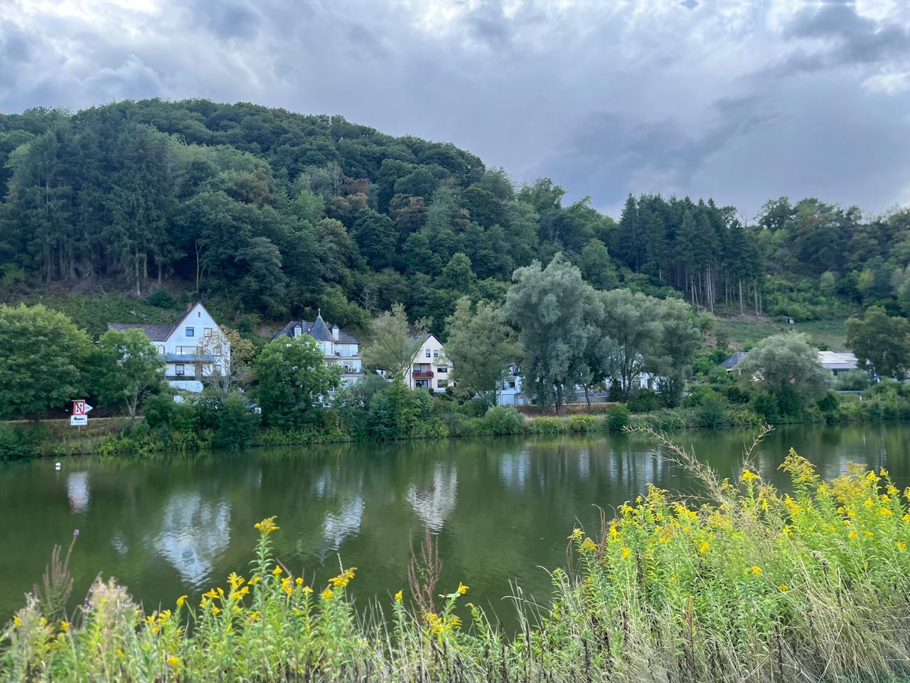 Along the Moselle · 2026