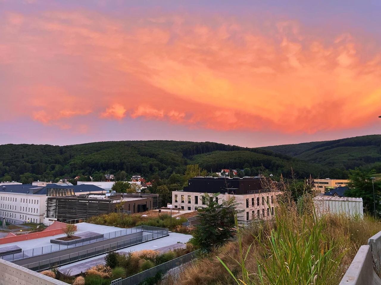 Klosterneuburg · 2024